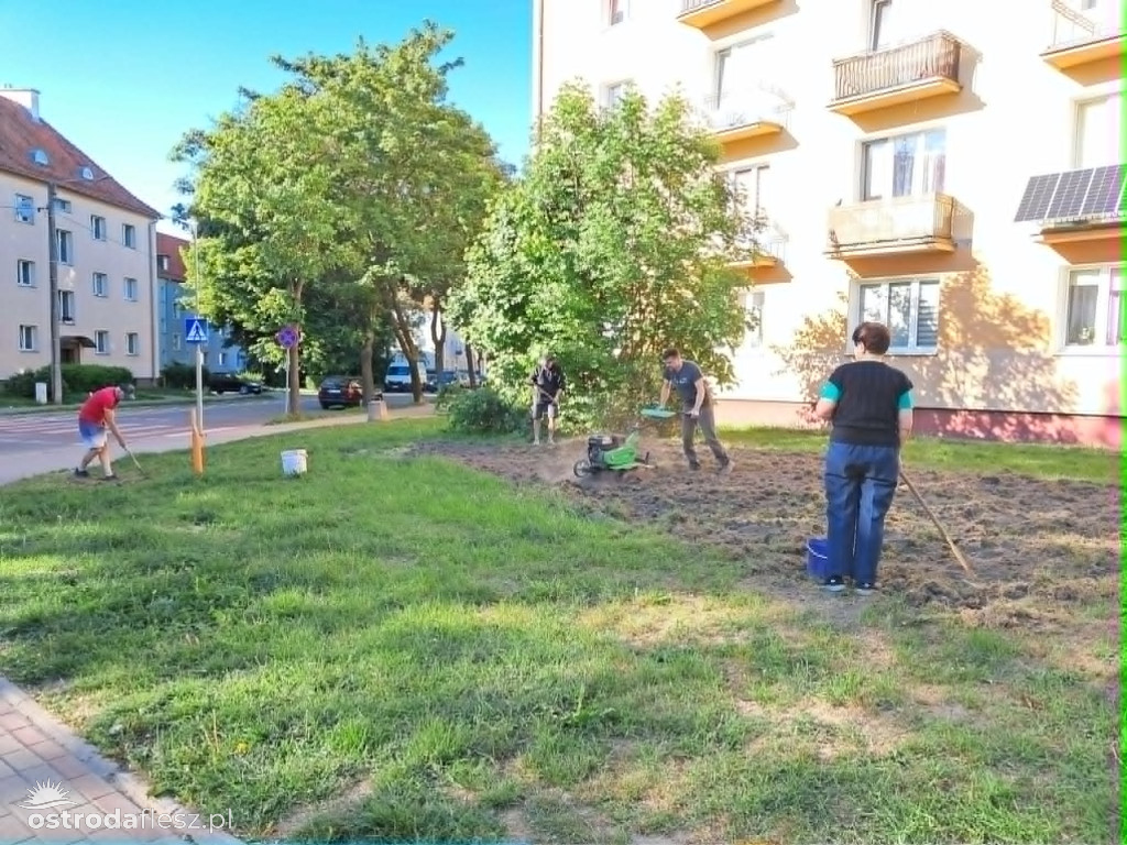 Mieszkańcy wspólnie upiększają osiedle Centrum