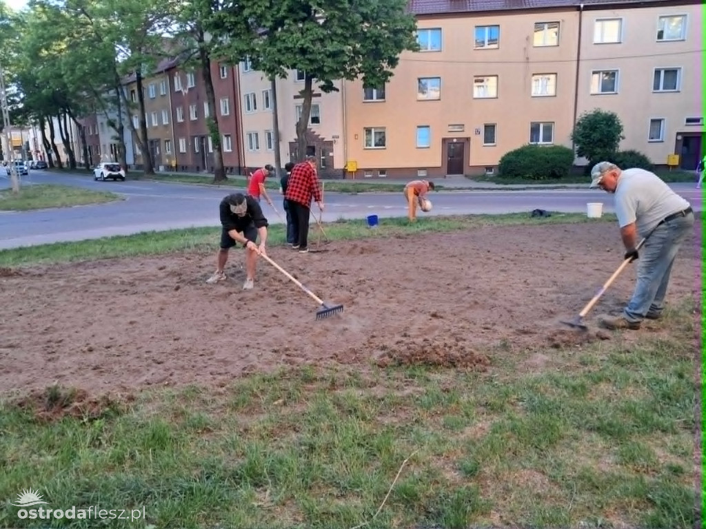 Mieszkańcy wspólnie upiększają osiedle Centrum