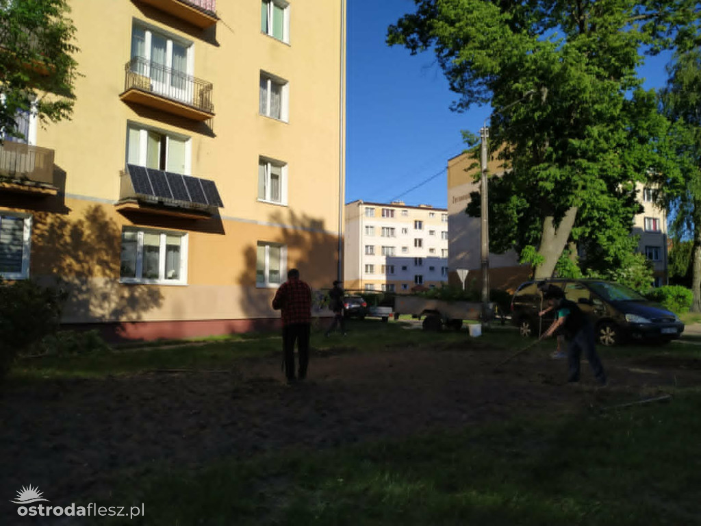 Mieszkańcy wspólnie upiększają osiedle Centrum