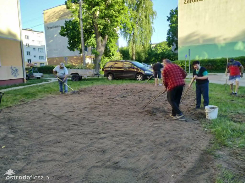Mieszkańcy wspólnie upiększają osiedle Centrum