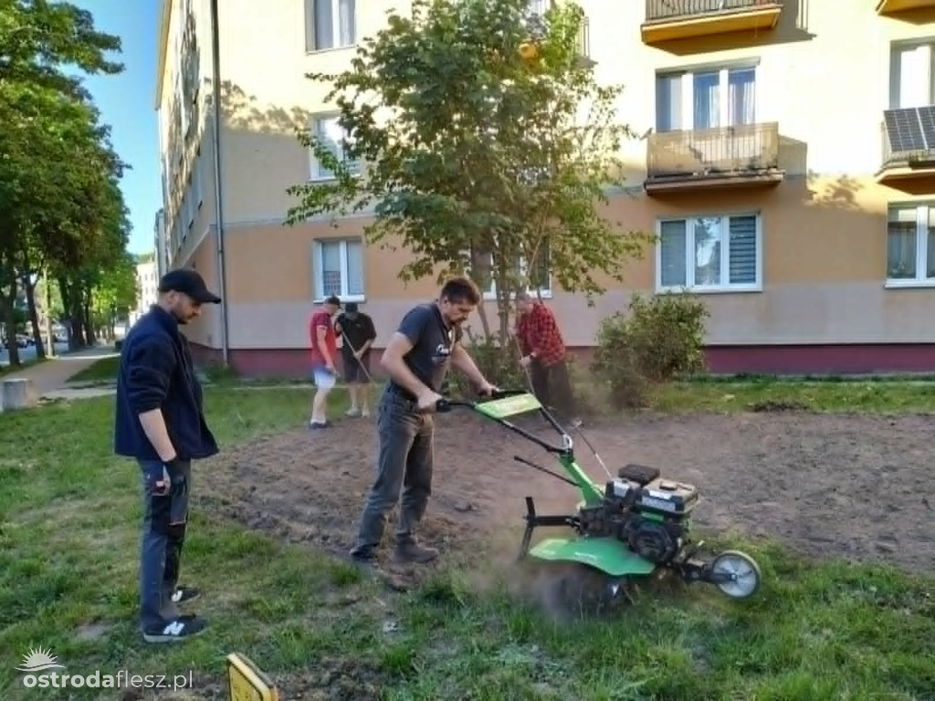 Mieszkańcy wspólnie upiększają osiedle Centrum