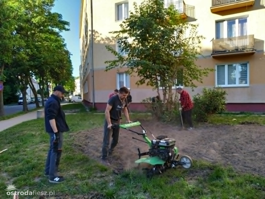 Mieszkańcy wspólnie upiększają osiedle Centrum