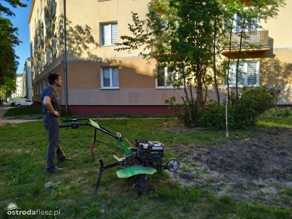 Mieszkańcy wspólnie upiększają osiedle Centrum
