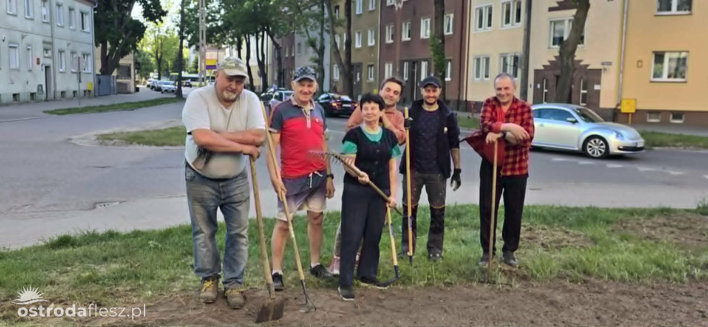 Mieszkańcy wspólnie upiększają osiedle Centrum