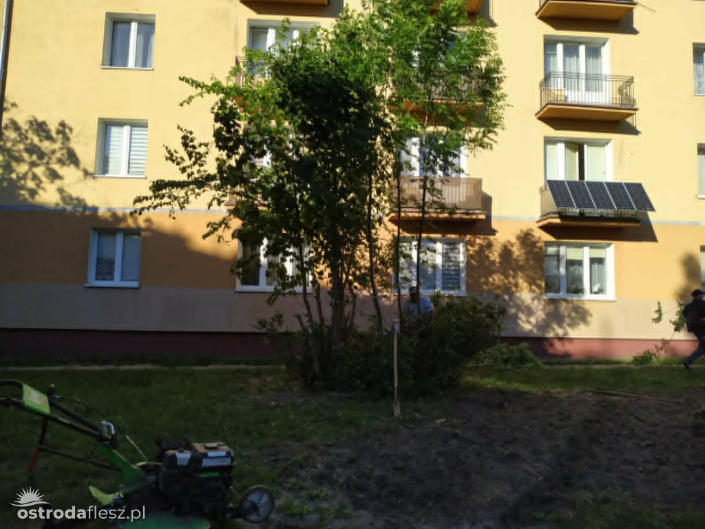 Mieszkańcy wspólnie upiększają osiedle Centrum