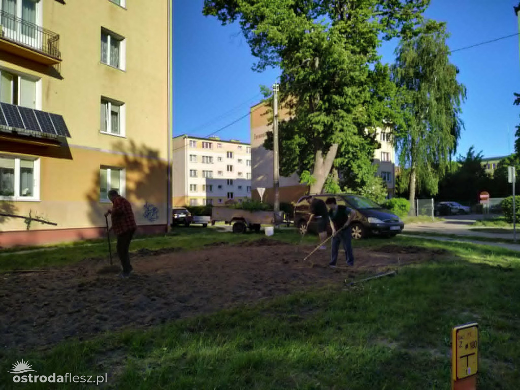 Mieszkańcy wspólnie upiększają osiedle Centrum