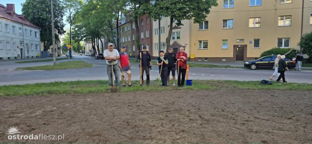 Mieszkańcy wspólnie upiększają osiedle Centrum