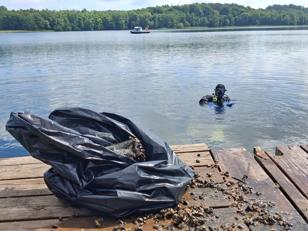Społeczna akcja na plaży miejskiej w Miłomłynie