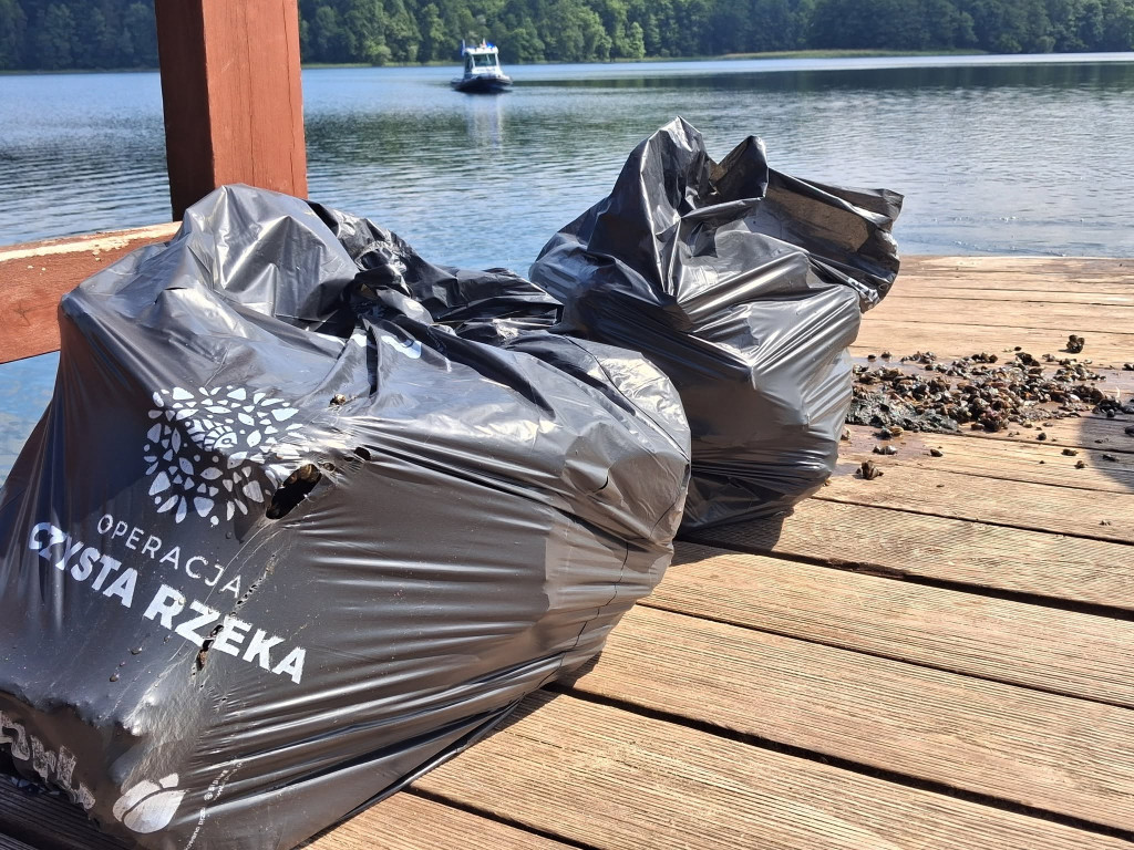 Społeczna akcja na plaży miejskiej w Miłomłynie