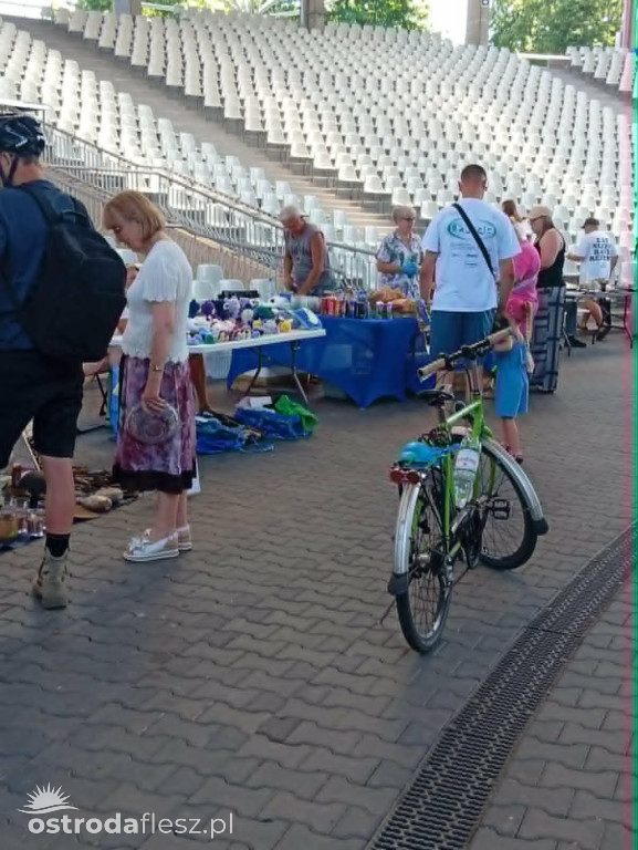 Pchli Targ i giełda winyli w ramach Dni Morza