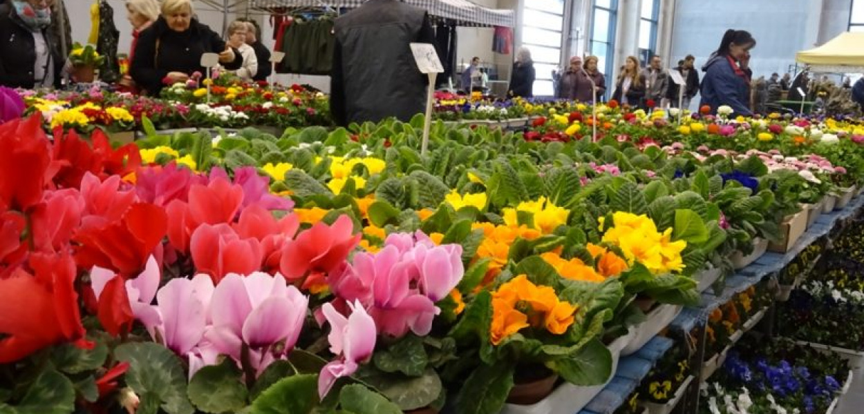 TARGI ZIELONA ARENA I TWÓJ DOM, TWÓJ OGRÓD