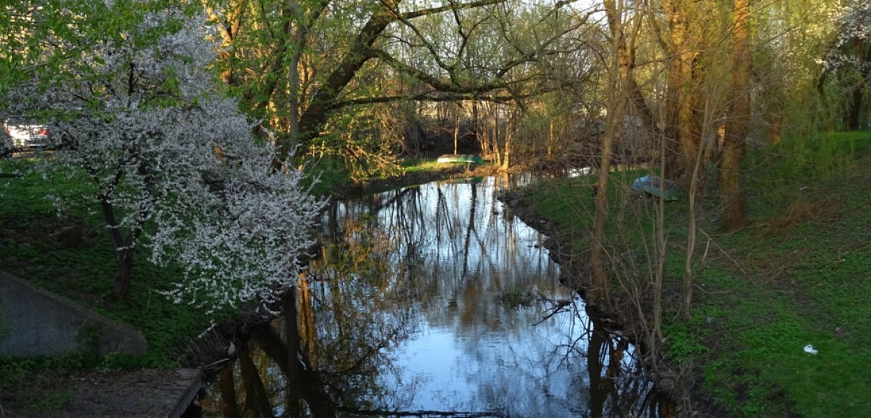 MALOWNICZA RZEKA DRWĘCA W OSTRÓDZIE