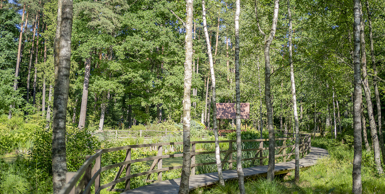 Foto: Ostróda Flesz