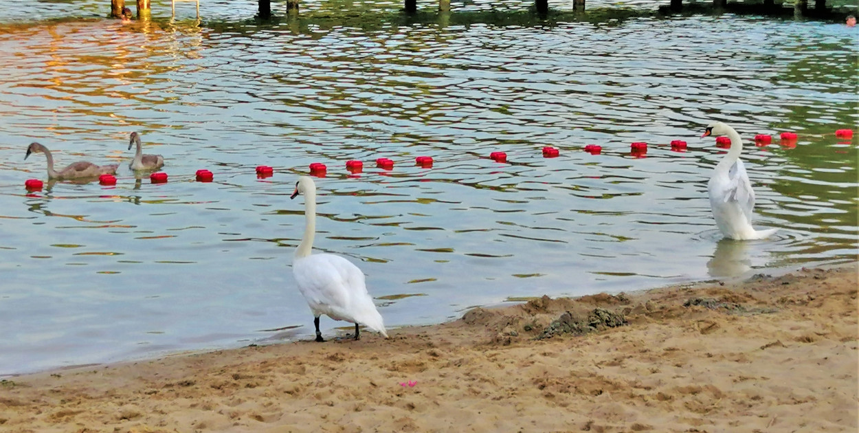 Foto: Ostróda Flesz