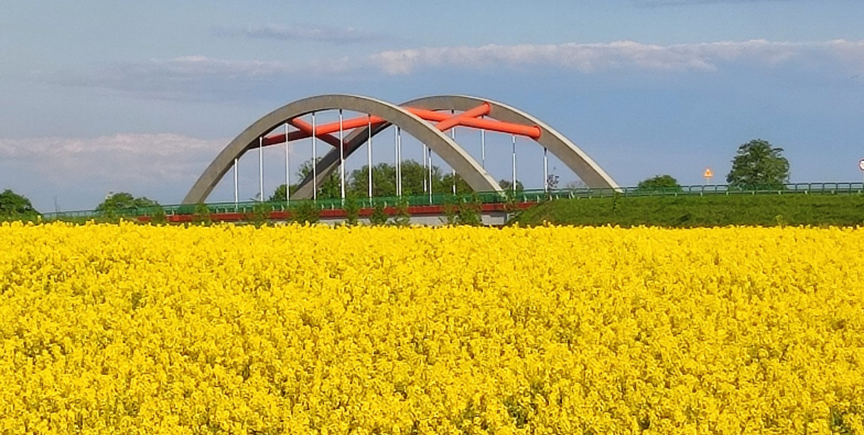 Foto: Ostróda Flesz