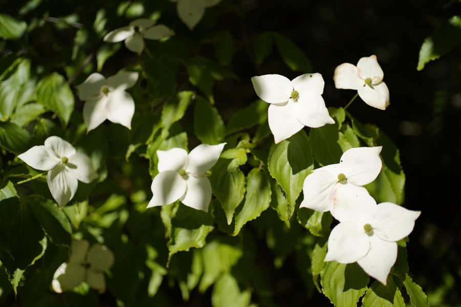 Foto: Ostróda Flesz Marzena Matuszka