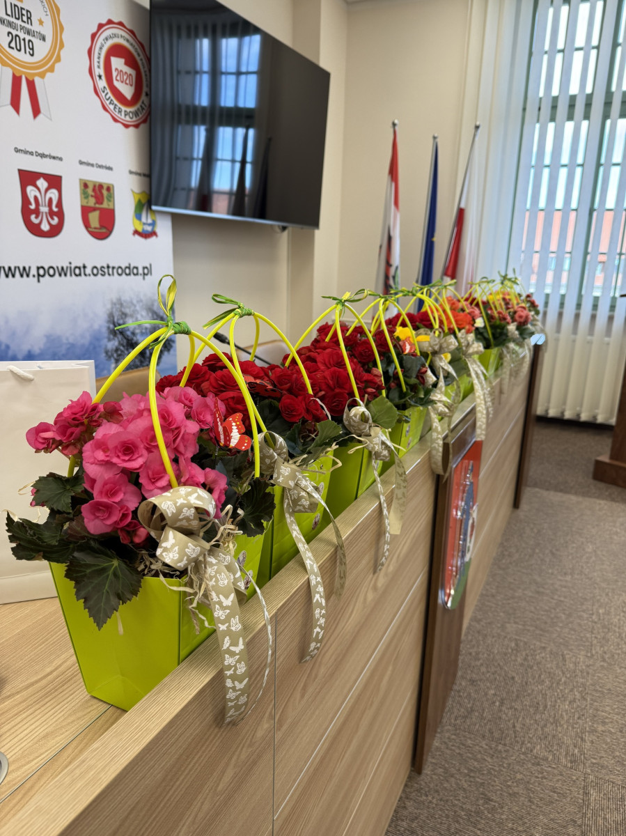 Foto: Powiat Ostródzki