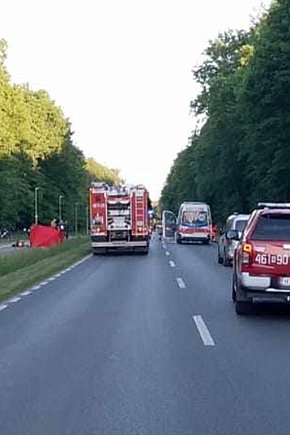 2 osoby zginęły w wypadku pod Iławą - foto-11729