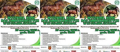 I Wystawa Koni Ras Zimnokrwistych w Szyldaku-538