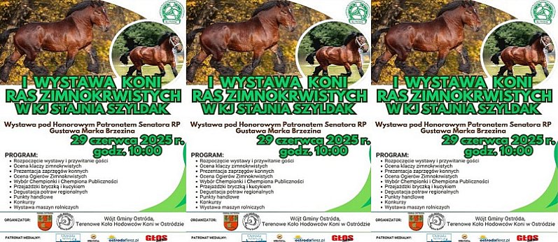 I Wystawa Koni Ras Zimnokrwistych w Szyldaku