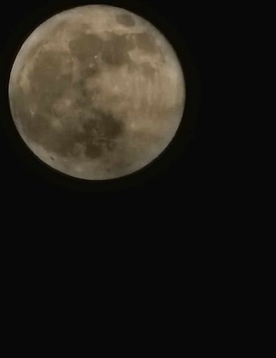 Robacza pełnia księżyca 25 marca w Bałcynach w Gminie Ostróda-89243