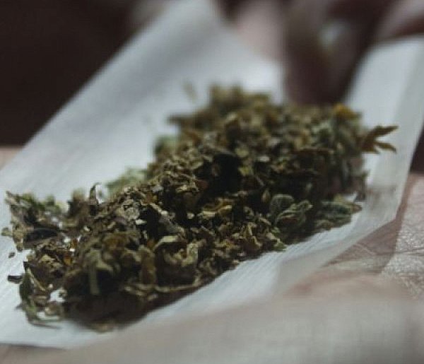 U mieszkańca Ostródy znaleziono 80 gram marihuany. Grozi mu do 10 lat-90212