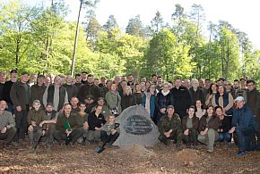 W nadleśnictwie Miłomłyn posadzili las w kształcie liczby 100-90402