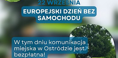 Bezpłatna komunikacja miejska w Ostródzie już w najbliższą niedzielę 22 września!-93686