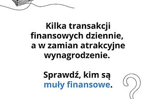 Kim są muły finansowe i dlaczego nie chcesz stać się jednym z nich?-94947