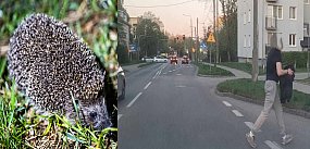 Ten czyn w Ostródzie zasługuje na pochwałę!