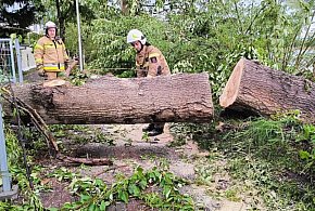 16 interwencji strażaków w powiecie ostródzkim po przejściu burzy-99476