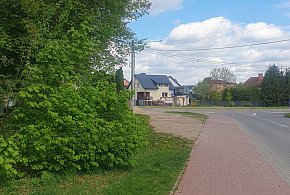 Zwierzęce wnętrzności i skóra znalezione na ul. Parkowej w Ostródzie! -99483