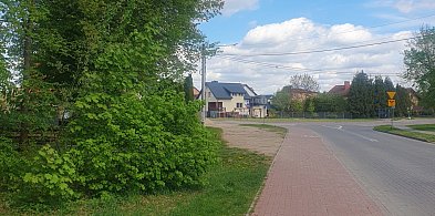 Zwierzęce wnętrzności i skóra znalezione na ul. Parkowej w Ostródzie! -99483