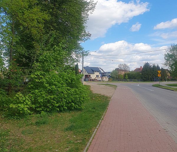 Zwierzęce wnętrzności i skóra znalezione na ul. Parkowej w Ostródzie! -99483