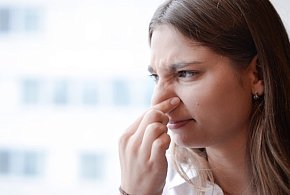 Eksperci: alergia na roztocza to najsilniejszy czynnik  - 99879