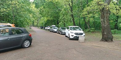 Nowa tradycja w Ostródzie? Parkowanie samochodów w parku przy ul. Chrobrego-99961