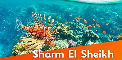 Nowy kierunek z Lotniska Olsztyn-Mazury! Od czerwca loty do Sharm El Sheikh-100113