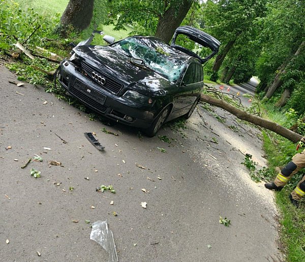 Drzewo spadło na jadące audi między Lipowem a Zajączkami!-100483