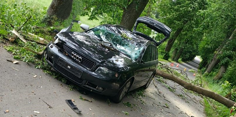 Drzewo spadło na jadące audi między Lipowem a Zajączkami! - 100483
