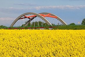 Sezon alergiczny trwa – już 16 tysięcy osób pod opieką  - 100773