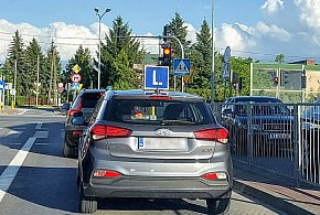 Egzamin na prawo jazdy będzie inny. Od 1 lipca nowe zasady-100828
