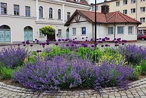 Radni zadecydowali - "Okrąglak" na Placu Tysiąclecia do sprzedaży -100861