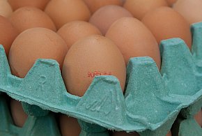 Salmonella na jajach znanej marki. Nie jedz, jeśli masz je w lodówce!-100993