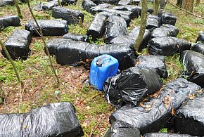 Ktoś porzucił ogromną ilość odpadów chemicznych w lesie!-101705