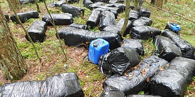 Ktoś porzucił ogromną ilość odpadów chemicznych w lesie-101705