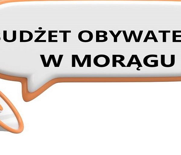 10 projektów pozytywnie zweryfikowanych w Budżecie Obywatelskim Gm. Morąg-102504