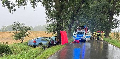 Kolejna śmierć na drogach regionu. Ford uderzył w drzewo. 2 osoby ranne-102594