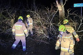 Silny wiatr w powiecie ostródzkim. Strażacy interweniowali 24 razy-12796