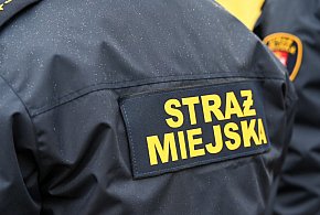 Zapuka strażnik, zapłacisz karę. Ruszyły kontrole w całej Polsce-103744