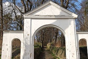 Jest nowe zamówienie na projekt rewitalizacji cmentarza Polska Górka w Ostródzie!-104327